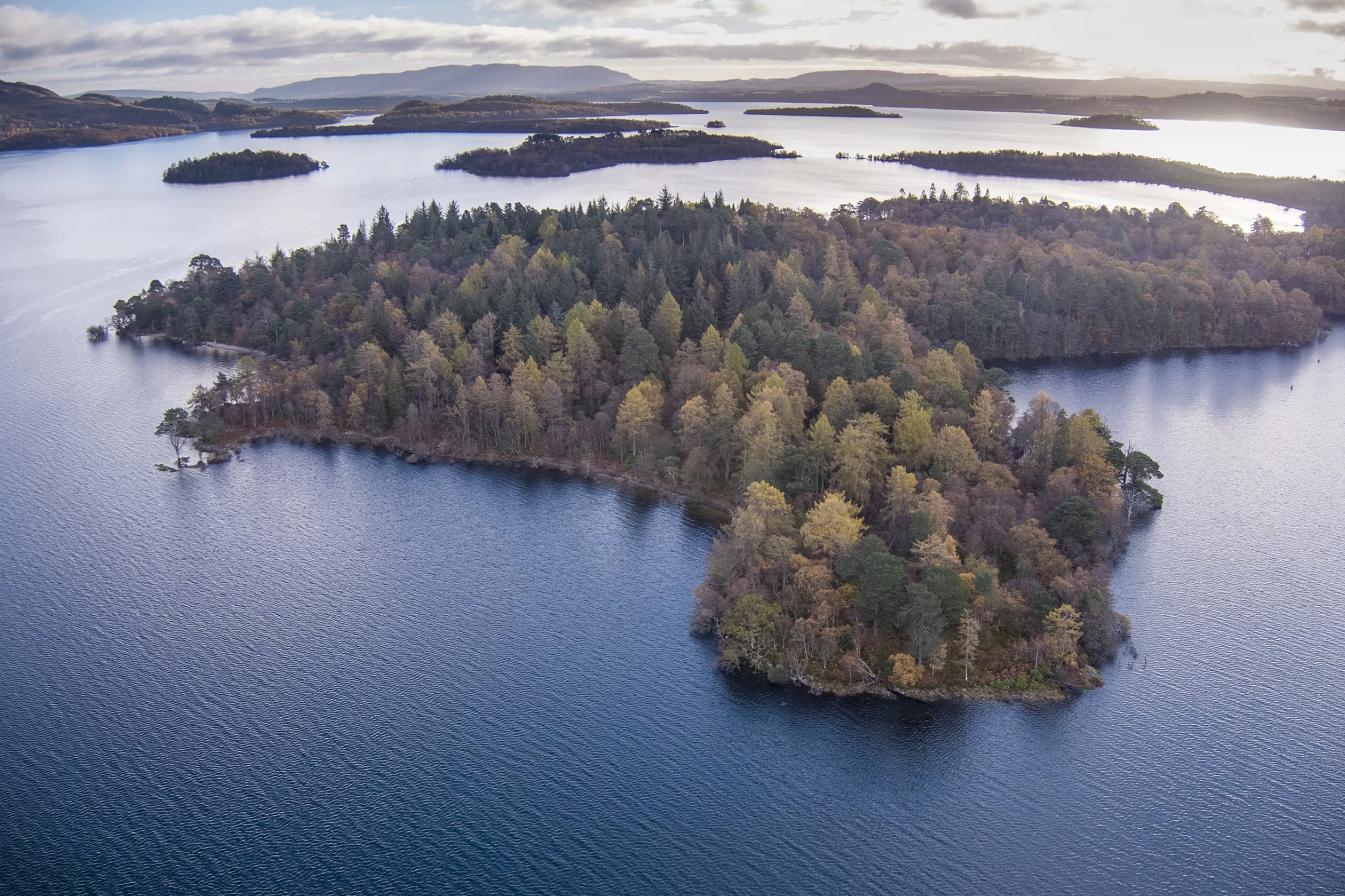 im-83851846 copy.jpg