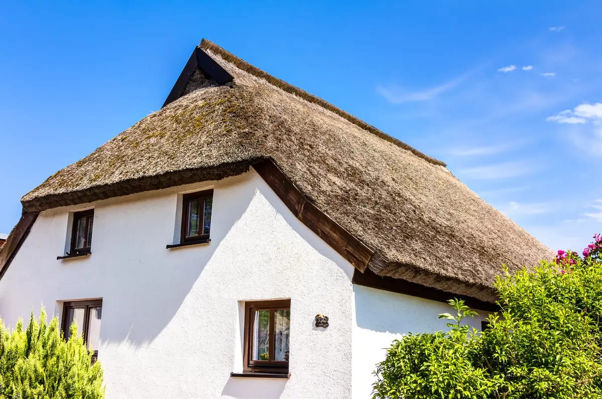 thatch.jpeg