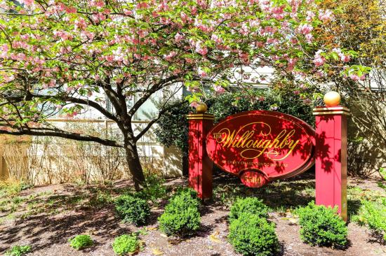 5500 Friendship Blvd unit 1411N 